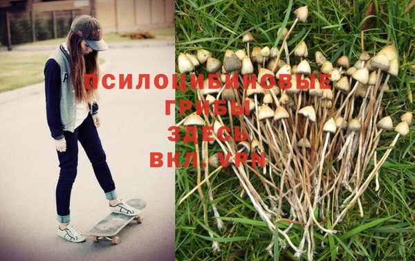 МДПВ Алзамай