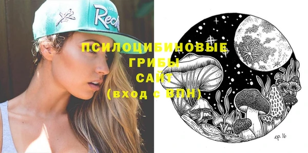 МДПВ Алексеевка