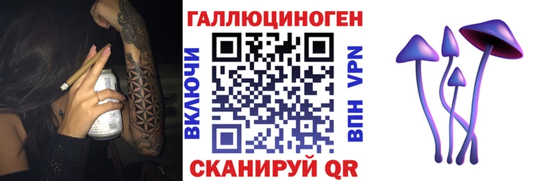 купить   Дыгулыбгей  Галлюциногенные грибы прущие грибы 
